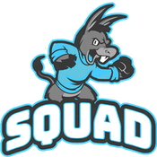 Donkey Squad logo
